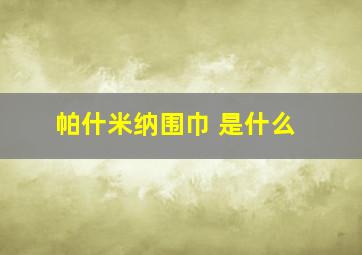 帕什米纳围巾 是什么